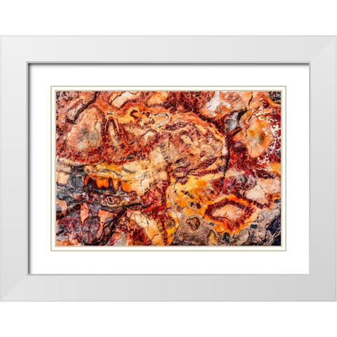 Red-orange and yellow petrified wood abstract-Blue Mesa-Petrified Forest National Park-Arizona White Modern Wood Framed Art Print with Double Matting by Perry, William