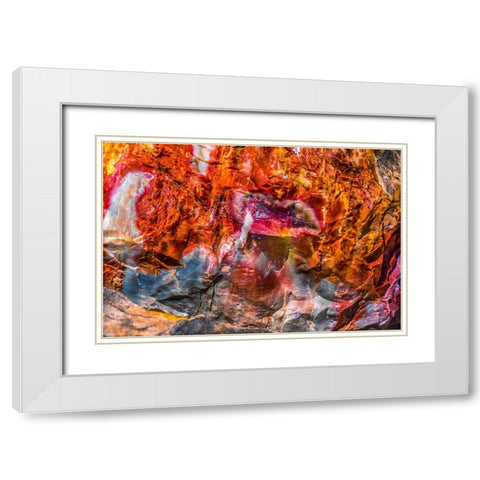 Red-orange and yellow petrified wood abstract-Blue Mesa-Petrified Forest National Park-Arizona White Modern Wood Framed Art Print with Double Matting by Perry, William