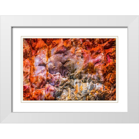 Red-orange and yellow petrified wood abstract-Blue Mesa-Petrified Forest National Park-Arizona White Modern Wood Framed Art Print with Double Matting by Perry, William