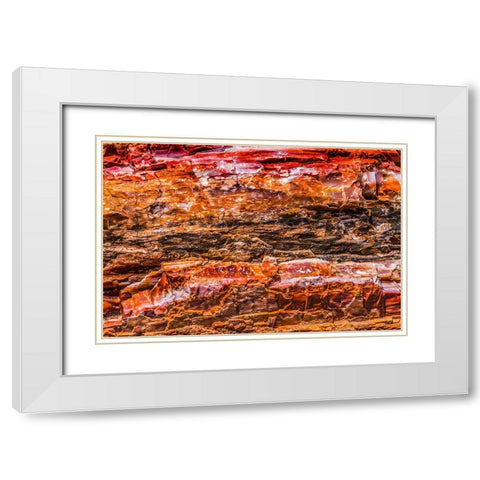 Red-orange and yellow petrified wood abstract-Blue Mesa-Petrified Forest National Park-Arizona White Modern Wood Framed Art Print with Double Matting by Perry, William