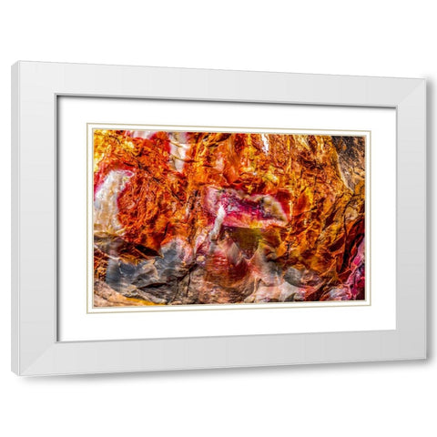 Red-orange and yellow petrified wood abstract-Blue Mesa-Petrified Forest National Park-Arizona White Modern Wood Framed Art Print with Double Matting by Perry, William