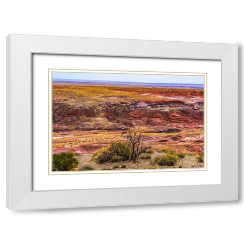 Tawa Point-Painted Desert-Petrified Forest National Park-Arizona White Modern Wood Framed Art Print with Double Matting by Perry, William