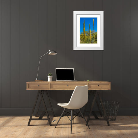 Thread Agaves blooming- Desert Botanical Garden- Phoenix- Arizona. White Modern Wood Framed Art Print with Double Matting by Perry, William