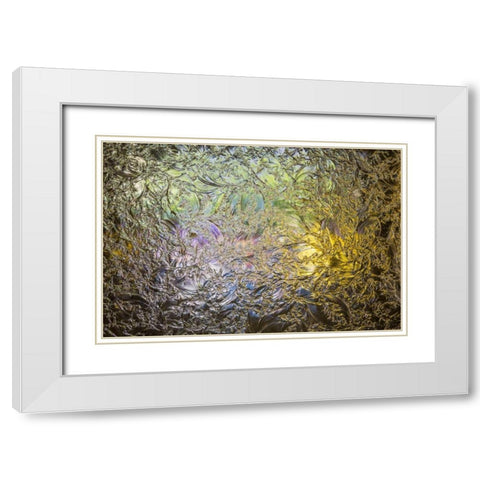 Arkansas, Hot Springs Fordyce Bath House White Modern Wood Framed Art Print with Double Matting by Paulson, Don