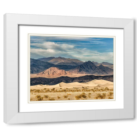 California-Death Valley National Park-Stovepipe Wells-Mesquite Flat Dunes White Modern Wood Framed Art Print with Double Matting by Collins, Ann