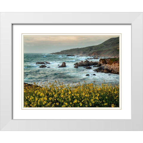 USA-California-Big Sur Dusk and mustard plants at Soberanes Cove White Modern Wood Framed Art Print with Double Matting by Collins, Ann