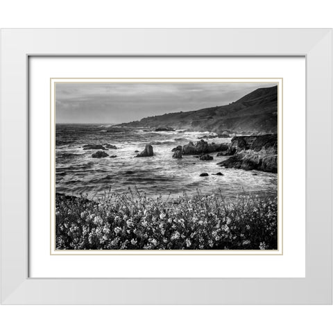 USA-California-Big Sur Dusk and mustard plants at Soberanes Cove White Modern Wood Framed Art Print with Double Matting by Collins, Ann