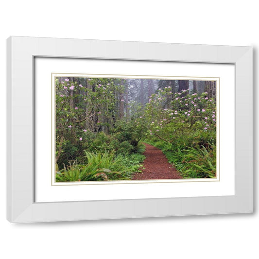 Perspective Image