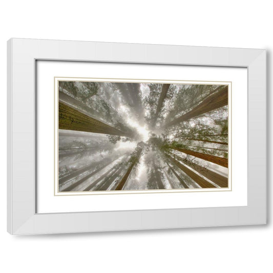 Perspective Image