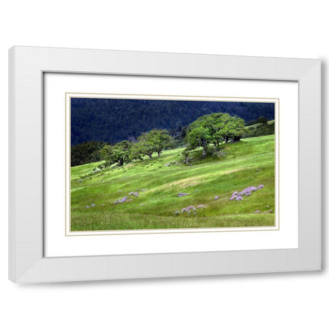 Grasses and trees-Dolason Prairie just off Bald Hills Road-California White Modern Wood Framed Art Print with Double Matting by Jones, Adam