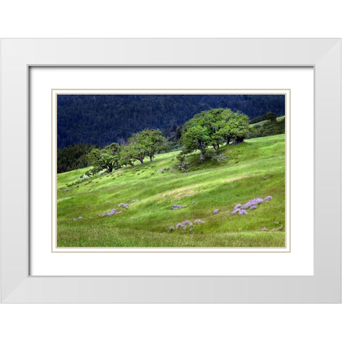 Grasses and trees-Dolason Prairie just off Bald Hills Road-California White Modern Wood Framed Art Print with Double Matting by Jones, Adam