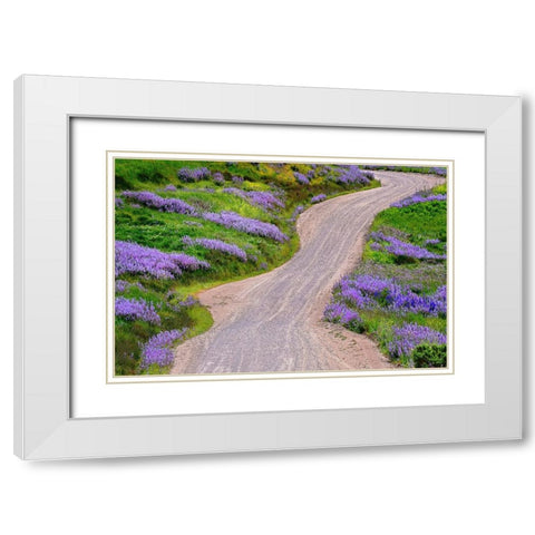 Bald Hills Road through lupine flowers-California White Modern Wood Framed Art Print with Double Matting by Jones, Adam