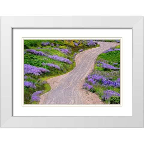 Bald Hills Road through lupine flowers-California White Modern Wood Framed Art Print with Double Matting by Jones, Adam