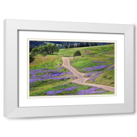 Bald Hills Road through lupine flowers-California White Modern Wood Framed Art Print with Double Matting by Jones, Adam