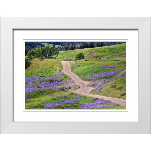 Bald Hills Road through lupine flowers-California White Modern Wood Framed Art Print with Double Matting by Jones, Adam