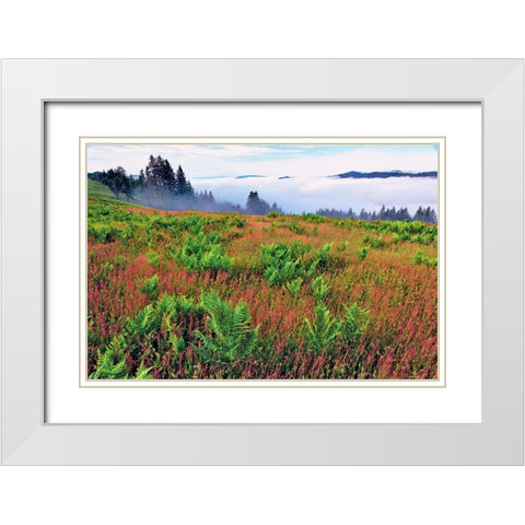 Foggy view of grasses and ferns-Dolason Prairie White Modern Wood Framed Art Print with Double Matting by Jones, Adam