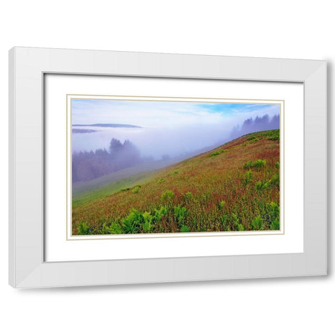 Foggy view of grasses Dolason Prairie White Modern Wood Framed Art Print with Double Matting by Jones, Adam