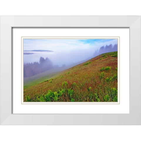 Foggy view of grasses Dolason Prairie White Modern Wood Framed Art Print with Double Matting by Jones, Adam