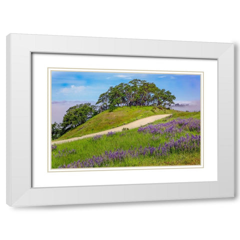 Lupine flowers-Bald Hills Road-California White Modern Wood Framed Art Print with Double Matting by Jones, Adam