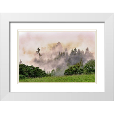 Hillside of evergreen trees among fog-Bald Hills Road-California White Modern Wood Framed Art Print with Double Matting by Jones, Adam