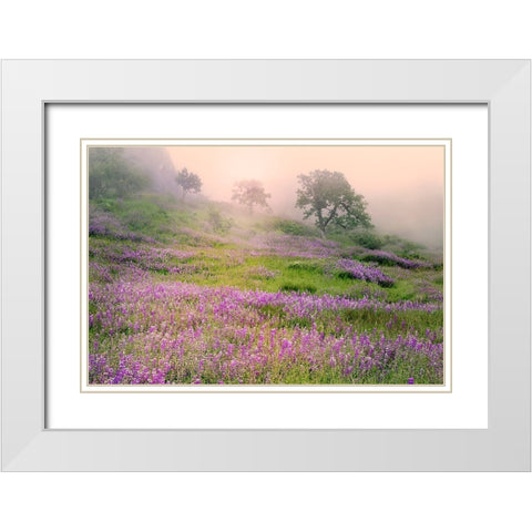 Purple Lupine flowers and tree in foggy sunrise-Bald Hills Road-California White Modern Wood Framed Art Print with Double Matting by Jones, Adam