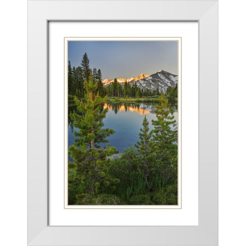 Alpine tarn-Tuolumne Meadows sunrise-Yosemite National Park-California White Modern Wood Framed Art Print with Double Matting by Jones, Adam