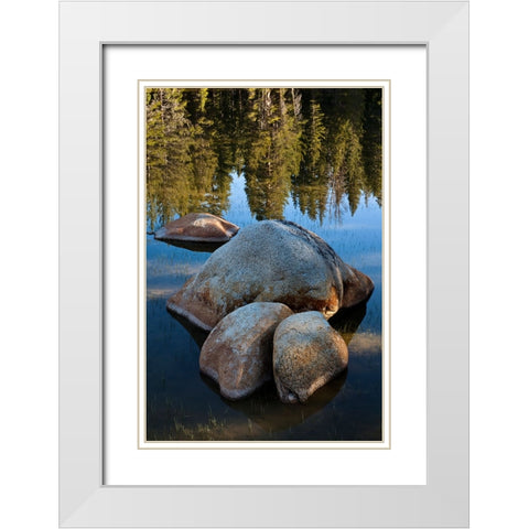 Rocks in Tuolumne River-Tuolumne Meadows-Yosemite National Park-California White Modern Wood Framed Art Print with Double Matting by Jones, Adam