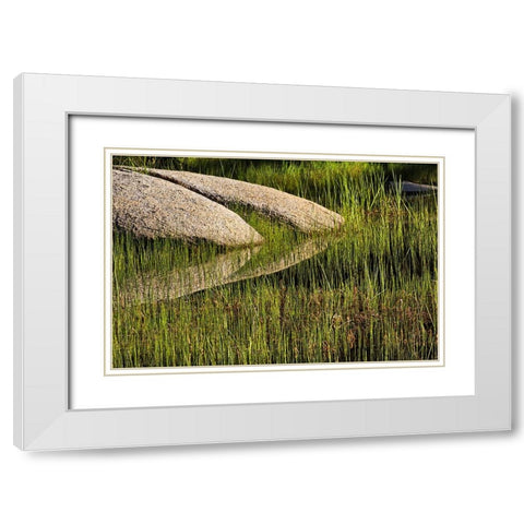Rocks and grass at first light-Tuolumne Meadows-Yosemite National Park-California White Modern Wood Framed Art Print with Double Matting by Jones, Adam