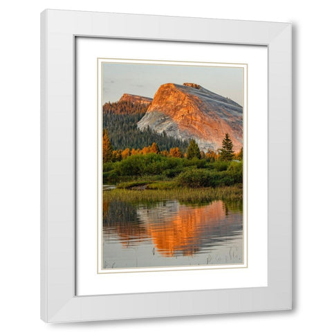 Tuolumne Meadows and Lembert Dome reflected in Tuolumne River White Modern Wood Framed Art Print with Double Matting by Jones, Adam