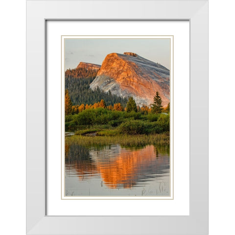Tuolumne Meadows and Lembert Dome reflected in Tuolumne River White Modern Wood Framed Art Print with Double Matting by Jones, Adam