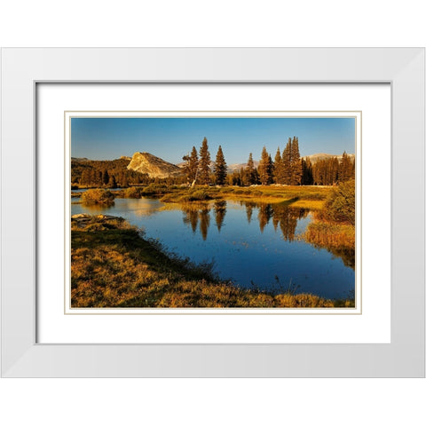 Lembert Dome reflected on Tuolumne River at sunset-Yosemite National Park-California White Modern Wood Framed Art Print with Double Matting by Jones, Adam