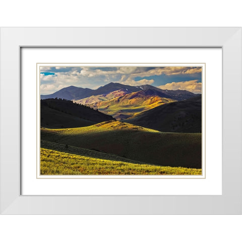 View of meadow in the White Mountains at sunset-Inyo National Forest-California White Modern Wood Framed Art Print with Double Matting by Jones, Adam