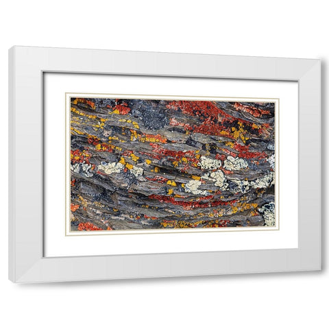 Colorful red and yellow lichens on rocks-eastern Sierra Range-California White Modern Wood Framed Art Print with Double Matting by Jones, Adam