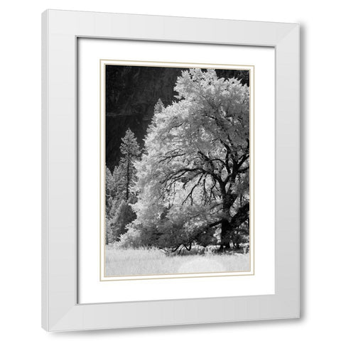 Yosemite Valley in infrared black and white-Yosemite National Park-California White Modern Wood Framed Art Print with Double Matting by Jones, Adam