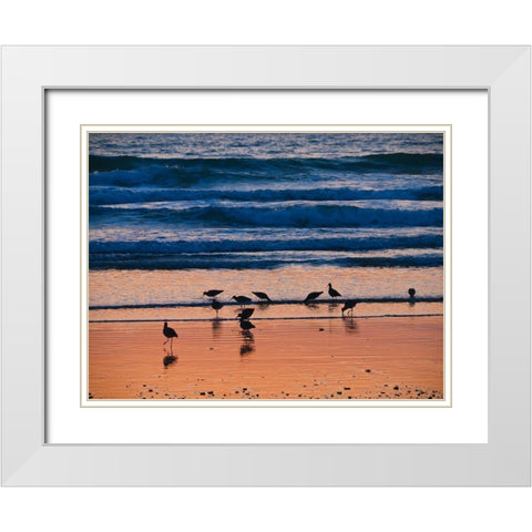 Morro Bay Shore White Modern Wood Framed Art Print with Double Matting by Miller, Anna
