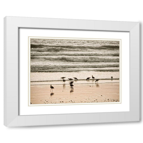 Morro Bay Shore White Modern Wood Framed Art Print with Double Matting by Miller, Anna