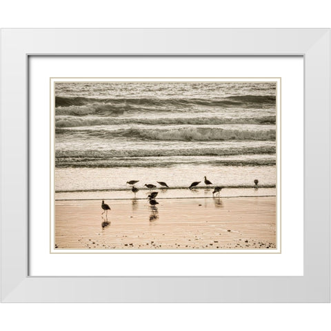 Morro Bay Shore White Modern Wood Framed Art Print with Double Matting by Miller, Anna