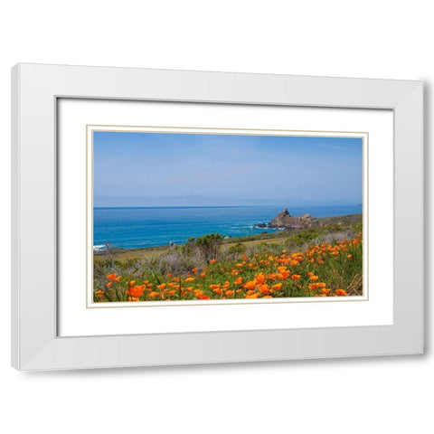 California Poppies-Big Sur-California-USA White Modern Wood Framed Art Print with Double Matting by Miller, Anna