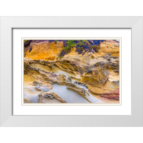 Rocky Formations at Bean Hollow Beach-California-USA White Modern Wood Framed Art Print with Double Matting by Miller, Anna