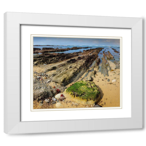 Geological Rock Formations-Fitzgerald Marine Reserve-California-USA White Modern Wood Framed Art Print with Double Matting by Miller, Anna