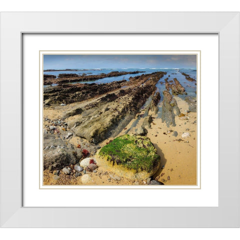 Geological Rock Formations-Fitzgerald Marine Reserve-California-USA White Modern Wood Framed Art Print with Double Matting by Miller, Anna