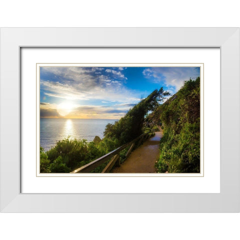 Sunset-Julia Pfeiffer Burns State Park-Big Sur-California-USA White Modern Wood Framed Art Print with Double Matting by Miller, Anna