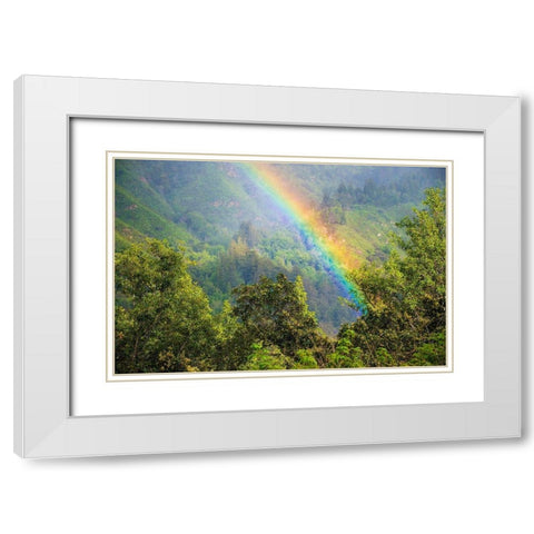 Rainbow in Andrew Molera State Park-California-USA White Modern Wood Framed Art Print with Double Matting by Miller, Anna