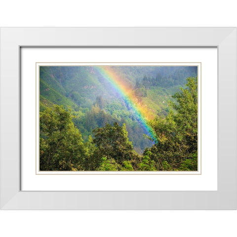 Rainbow in Andrew Molera State Park-California-USA White Modern Wood Framed Art Print with Double Matting by Miller, Anna