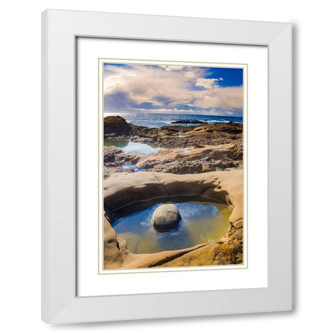 Tidepool-Point Lobos State Natural Reserve-California-USA White Modern Wood Framed Art Print with Double Matting by Miller, Anna