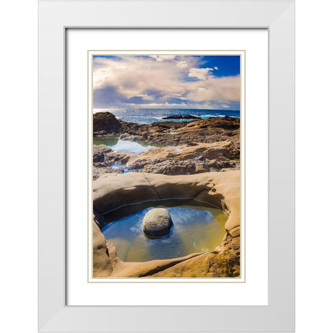 Tidepool-Point Lobos State Natural Reserve-California-USA White Modern Wood Framed Art Print with Double Matting by Miller, Anna