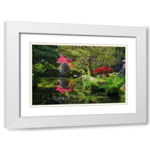 Japanese Tea Garden-Golden Gate Park-San Francisco-California-USA White Modern Wood Framed Art Print with Double Matting by Miller, Anna