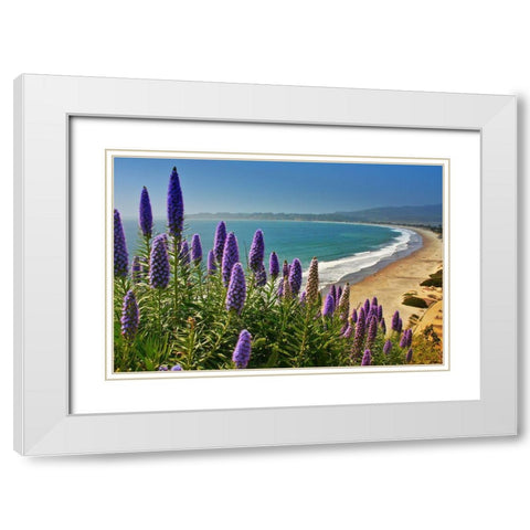 Beach-Coastal Marin Headlands-California-USA White Modern Wood Framed Art Print with Double Matting by Miller, Anna