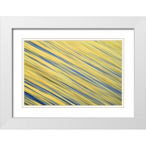 CA, La Jolla Abstract blur of ocean at dawn White Modern Wood Framed Art Print with Double Matting by Morris, Arthur