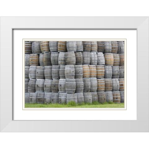 CA, San Luis Obispo Co, Stacks of wine barrels White Modern Wood Framed Art Print with Double Matting by Flaherty, Dennis